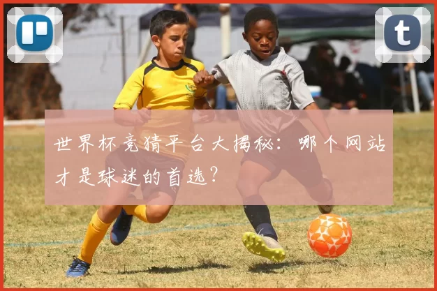 世界杯竞猜平台大揭秘：哪个网站才是球迷的首选？