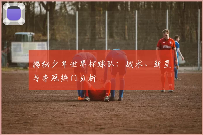 揭秘少年世界杯球队：战术、新星与夺冠热门分析