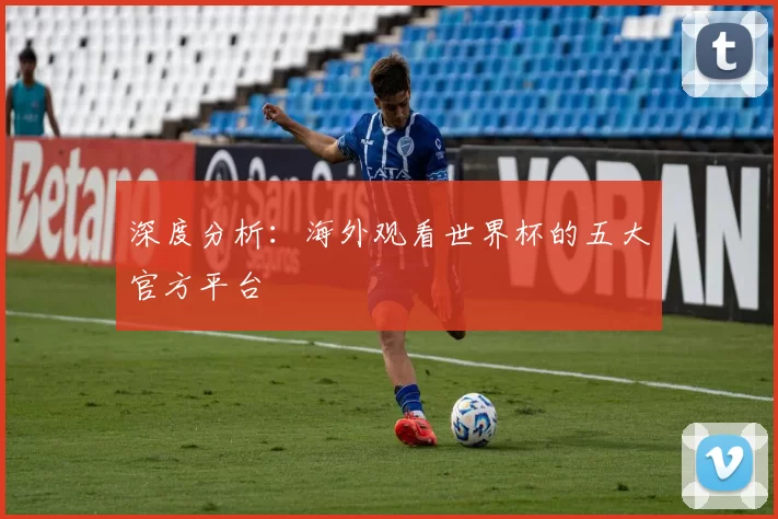 深度分析:海外观看世界杯的五大官方平台