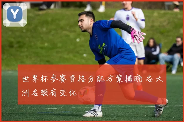 世界杯参赛资格分配方案揭晓 各大洲名额有变化