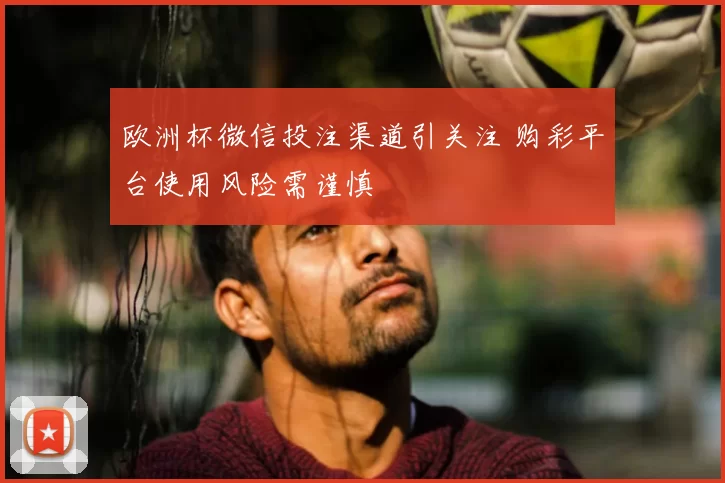 欧洲杯微信投注渠道引关注 购彩平台使用风险需谨慎
