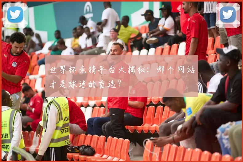 世界杯竞猜平台大揭秘：哪个网站才是球迷的首选？