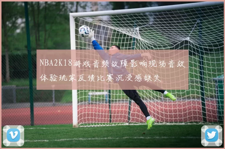 NBA2K18游戏音频故障影响现场音效体验玩家反馈比赛沉浸感缺失