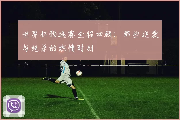 世界杯预选赛全程回顾:那些逆袭与绝杀的燃情时刻