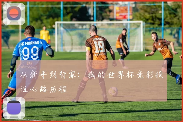从新手到行家：我的世界杯竞彩投注心路历程