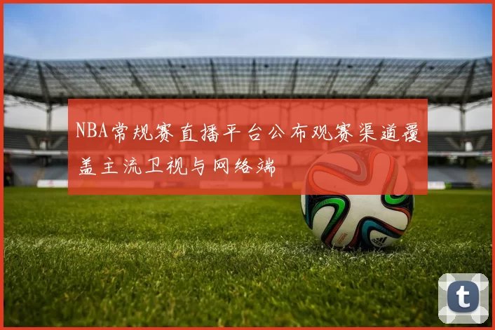 NBA常规赛直播平台公布观赛渠道覆盖主流卫视与网络端