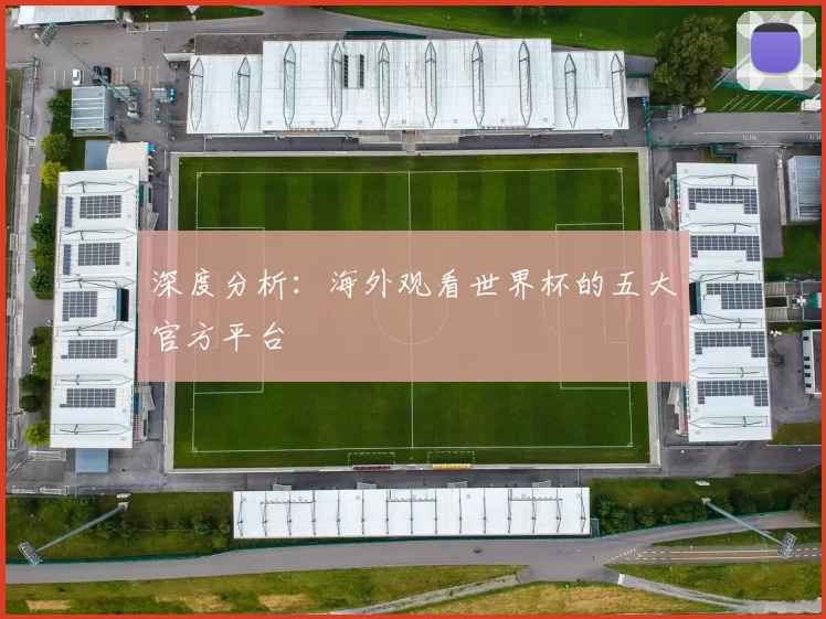 深度分析：海外观看世界杯的五大官方平台