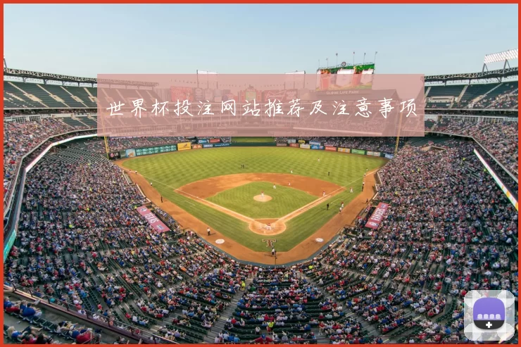 世界杯投注网站推荐及注意事项